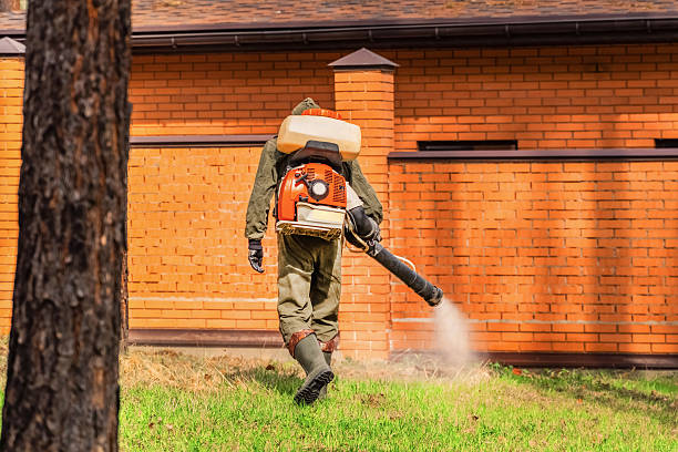 Trusted Cockroach Control service in Pocasset, MA - Nex Pest Control